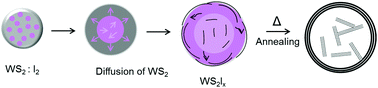 Graphical abstract: Hybrid chalcogenide nanoparticles: 2D-WS2 nanocrystals inside nested WS2 fullerenes