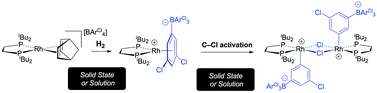Graphical abstract: C–Cl activation of the weakly coordinating anion [B(3,5-Cl2C6H3)4]− at a Rh(i) centre in solution and the solid-state