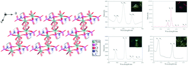 Graphical abstract: Lanthanide(iii) oxalatophosphonates: syntheses, crystal structures and luminescence properties