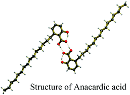 Graphical abstract: The synthesis, spectroscopy and X-ray single crystal structure of catena-[(μ-anacardato)-copper(ii)bipyridine][Cu2{(μ-O2CC6H3(o-OH)(o-C15H31)}4(NC5H5)2]