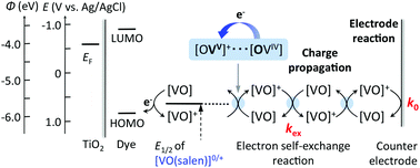 Graphical abstract: Enhanced bimolecular exchange reaction through programmed coordination of a five-coordinate oxovanadium complex for efficient redox mediation in dye-sensitized solar cells