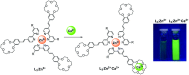 Graphical abstract: Photoresponsive dendron-like metallocomplexes of the crown-containing styryl derivatives of 2,2′-bipyridine