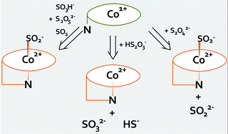 Graphical abstract: Kinetics and mechanism of oxidation of super-reduced cobalamin and cobinamide species by thiosulfate, sulfite and dithionite