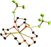 Graphical abstract: Oxa-thia-, oxa-selena and crown ether macrocyclic complexes of tin(ii) tetrafluoroborate and hexafluorophosphate – synthesis, properties and structures