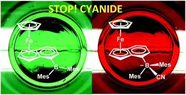 Graphical abstract: A molecular ‘traffic light’: highly selective cyanide sensing in aqueous media by a CpFe(indenyl)-functionalized borane