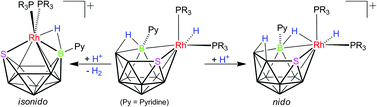Graphical abstract: Unusual cationic rhodathiaboranes: synthesis and characterization of [8,8,8-(H)(PR3)2-9-(Py)-nido-8,7-RhSB9H10]+ and [1,3-μ-(H)-1,1-(PR3)2-3-(Py)-isonido-1,2-RhSB9H8]+
