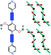 Graphical abstract: Molecular tectonics: enantiomerically pure 1D stair-type mercury coordination networks based on rigid bismonodentate C2-chiral organic tectons