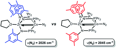 Graphical abstract: Effect of ligand modification on the reactivity of phosphinoamide-bridged heterobimetallic Zr/Co complexes