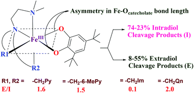Graphical abstract: Iron(iii) complexes of tripodal tetradentate 4N ligands as functional models for catechol dioxygenases: the electronic vs. steric effect on extradiol cleavage