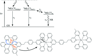 Graphical abstract: Excited-state spectroscopic investigations of multinuclear complexes based on [Ru(bpy)3]2+ moieties connected to 2,2′-bipyridine and 2,2′;6′,2′′-terpyridine ligands