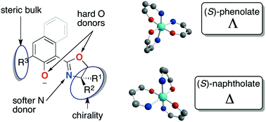Graphical abstract: Adding the right (or left) twist to tris-chelate complexes – coordination chemistry of chiral oxazolylphenolates with M3+ ions (M = Al or lanthanide)