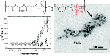 Graphical abstract: Superparamagnetic iron oxide nanoparticles stabilized by a poly(amidoamine)-rhenium complex as potential theranostic probe