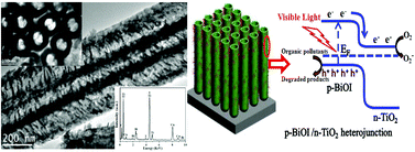 Graphical abstract: BiOI/TiO2 nanotube arrays, a unique flake-tube structured p–n junction with remarkable visible-light photoelectrocatalytic performance and stability