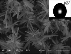 Graphical abstract: Facile fabrication of corrosion-resistant superhydrophobic and superoleophilic surfaces with MnWO4:Dy3+ microbouquets