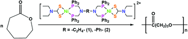Graphical abstract: Ni(ii) tetraphosphine complexes as catalysts/initiators in the ring opening polymerization of ε-caprolactone