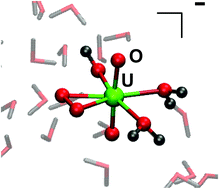 Graphical abstract: Structure of a uranyl peroxo complex in aqueous solution from first-principles molecular dynamics simulations