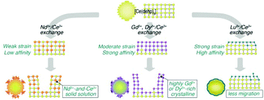 Graphical abstract: Steric effect involved in Ln3+/Ce3+ exchange in a coordination polymer based on di(2-ethylhexyl)phosphoric acid