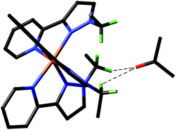 Graphical abstract: Fac and mer isomers of Ru(ii) tris(pyrazolyl-pyridine) complexes as models for the vertices of coordination cages: structural characterisation and hydrogen-bonding characteristics