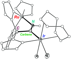 Graphical abstract: A metallacyclic alkyl-amido carbene complex (MCAAC)