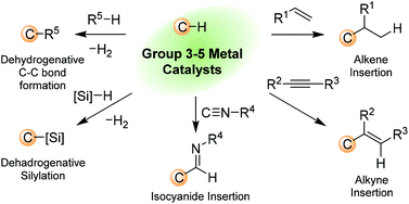 Graphical abstract: Direct functionalization of unactivated C–H bonds catalyzed by group 3–5 metal alkyl complexes