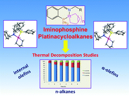 Graphical abstract: Platinacycloalkane complexes containing [P,N] bidentate ligands: synthesis and decomposition studies