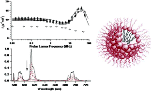 Graphical abstract: Micellar self-assemblies of gadolinium(iii)/europium(iii) amphiphilic complexes as model contrast agents for bimodal imaging