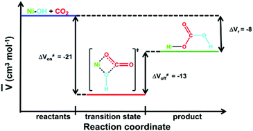 Graphical abstract: Thermodynamics and high-pressure kinetics of a fast carbon dioxide fixation reaction by a (2,6-pyridinedicarboxamidato-hydroxo)nickel(ii) complex