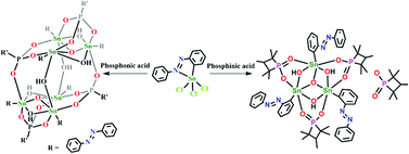 Graphical abstract: Assembly of hexa- and trinuclear monoorganostannoxanes: hemi-labile nature of intramolecular N→Sn coordination in RSnCl3 (R = 2-phenylazophenyl)