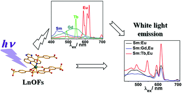 Graphical abstract: White light emission by a lanthanide doped Sm(iii) framework constructed from 4-sulfobenzoate and 1H-imidazo[4,5-f][1,10]-phenanthroline