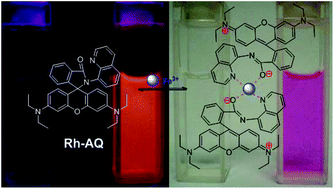 Graphical abstract: Rhodamine-based fluorescent off–on sensor for Fe3+ – in aqueous solution and in living cells: 8-aminoquinoline receptor and 2 : 1 binding