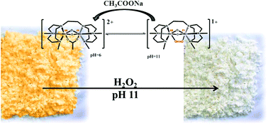 Graphical abstract: The role of carboxylato ligand dissociation in the oxidation of chrysin with H2O2 catalysed by [Mn2III,IV(μ-CH3COO)(μ-O)2(Me4dtne)](PF6)2