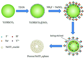 Graphical abstract: Synthesis of porous upconverting luminescence α-NaYF4:Ln3+ microspheres and their potential applications as carriers
