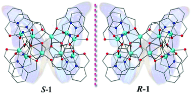 Graphical abstract: Butterfly-like enantiomerically homochiral {CoII6CoIII4} clusters exhibiting both slow magnetic relaxation and ferroelectric property