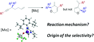 Graphical abstract: DFT study on the reaction mechanism of the ring closing enyne metathesis (RCEYM) catalyzed by molybdenum alkylidene complexes