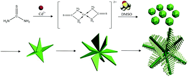 Graphical abstract: Dendritic CdS assemblies for removal of organic dye molecules