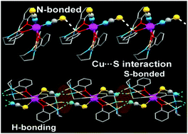 Graphical abstract: The influence of H-bonding on the ‘ambidentate’ coordination behaviour of the thiocyanate ion to Cd(ii): a combined experimental and theoretical study