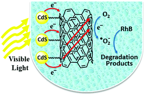 Graphical abstract: Photocatalytic application of nanosized CdS immobilized onto functionalized MWCNTs