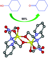 Graphical abstract: Catalysis and molecular magnetism of dinuclear iron(iii) complexes with N-(2-pyridylmethyl)-iminodiethanol/-ate