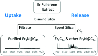Graphical abstract: Fractionation of rare-earth metallofullerenes via reversible uptake and release from reactive silica