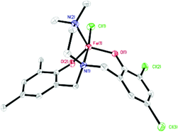 Graphical abstract: New diamino-diheterophenol ligands coordinate iron(iii) to make structural and functional models of protocatechuate 3,4-dioxygenase