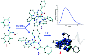 Graphical abstract: Molecular and electronic structure of nonradical homoleptic pyridyl-azo-oxime complexes of cobalt(iii) and the azo-oxime anion radical congener: an experimental and theoretical investigation