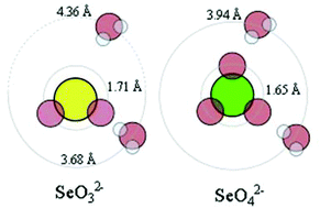 Graphical abstract: Structure and hydrogen bonding of the hydrated selenite and selenate ions in aqueous solution