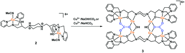 Graphical abstract: CO2 fixation by dicopper(ii) complexes in hypodentate framework of N8O2
