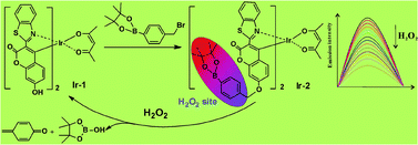 Graphical abstract: Photoluminescence properties of a novel cyclometalated iridium(iii) complex with coumarin-boronate and its recognition of hydrogen peroxide
