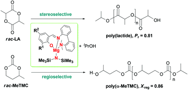 Graphical abstract: Magnesium complexes containing biphenyl-based tridentate imino-phenolate ligands for ring-opening polymerization of rac-lactide and α-methyltrimethylene carbonate