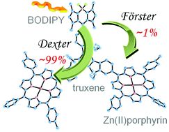 Graphical abstract: Antenna effects in truxene-bridged BODIPY triarylzinc(ii)porphyrin dyads: evidence for a dual Dexter–Förster mechanism