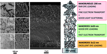 Graphical abstract: Shape-tailored TiO2 nanocrystals with synergic peculiarities as building blocks for highly efficient multi-stack dye solar cells