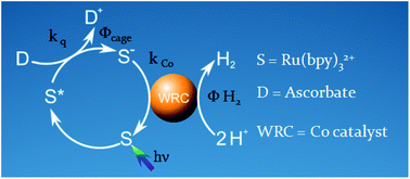 Graphical abstract: Towards a comprehensive understanding of visible-light photogeneration of hydrogen from water using cobalt(ii) polypyridyl catalysts