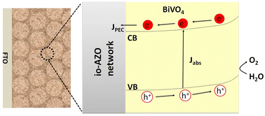Graphical abstract: Al-doped ZnO inverse opal networks as efficient electron collectors in BiVO4 photoanodes for solar water oxidation