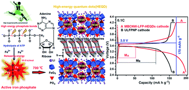 Graphical abstract: Fabricating high-energy quantum dots in ultra-thin LiFePO4 nanosheets using a multifunctional high-energy biomolecule—ATP